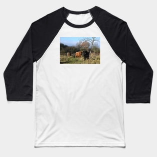 Cows Baseball T-Shirt